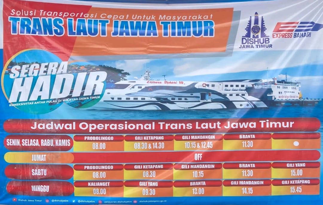 infografis
